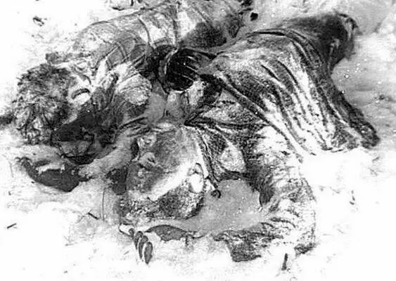 Те же самые тела найденные под кедром сфотографированные под другим углом и - фото 12