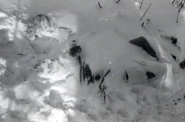 Фотография тел погибших туристов из группы Игоря Дятлова обнаруженных под - фото 11