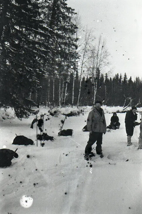 Фотоплёнка 5 снимки 11 и 12 Обе фотографии сделаны с интервалом в - фото 197