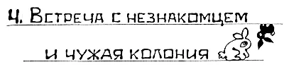 Купаясь в лучах солнца усталые кролики беспечно паслись на лугу как будто у - фото 24