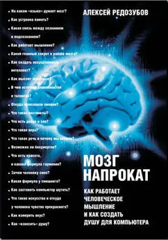 Алексей Редозубов - Мозг напрокат. Как работает человеческое мышление и как создать душу для компьютера