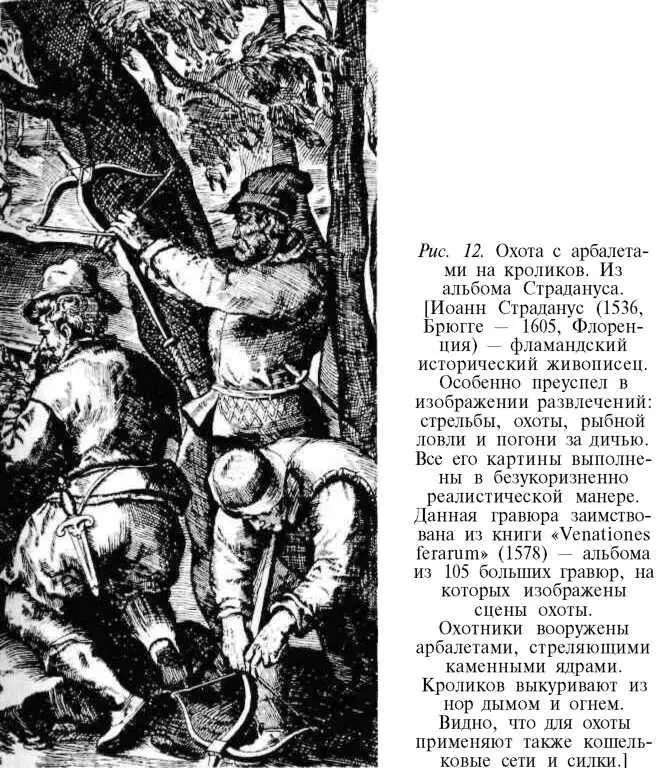 Подвиги лучников вооруженных большими луками стали в Англии легендой после - фото 16