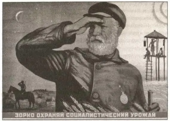 6 тысяч пудов хлеба Полторы тысячи пудов зерна и муки А потом внуки казнённых - фото 24