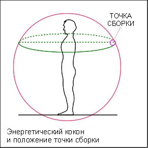 Именно точка сборки с окружающим ее сиянием является основным признаком жизни и - фото 14