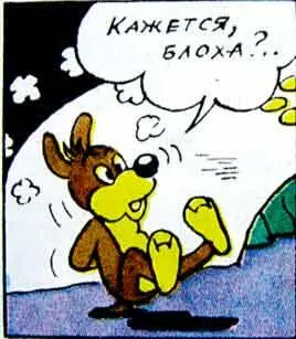 Потом еще один Это действительно были блохи Так вот о каких квартирантах - фото 53