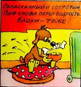Недоумевающий Пиф принялся за еду Ему было тепло промокшая шерсть постепенно - фото 71