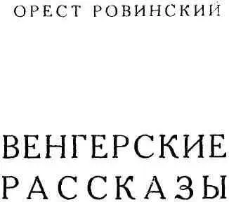 СНОВА ЗА ДУНАЕМ Гвардейский полк заночевал в прибрежном селе куда попал - фото 1