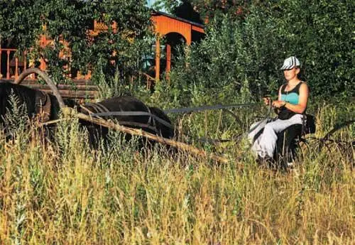 Барон работает ворошит сено с Дашей Малина была участницей одной - фото 50