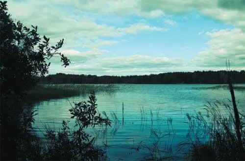 Вот место где обычно пристают лодки приехавшие для сбора грибов тихая - фото 63