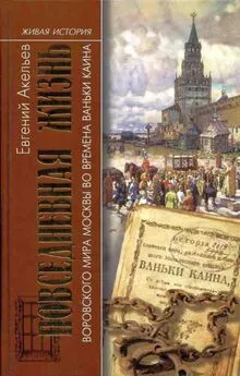 Евгений Акельев - Повседневная жизнь воровского мира Москвы во времена Ваньки Каина