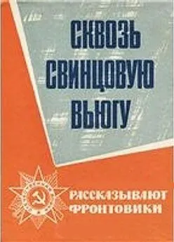 Николай Пустынцев - Сквозь свинцовую вьюгу