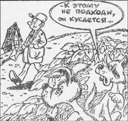Канадский почтальон Дик Маккоун никогда не изучал этологию Он даже не знал - фото 8
