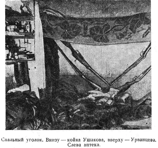 Повидимому и Ушакову тоже начало приходиться туго от такого беспорядка Както - фото 21