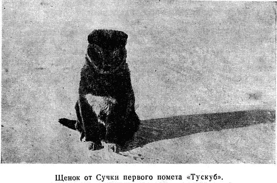 Охотничье сердце Журавлева не утерпело Он выстрелил но не убил а только - фото 33