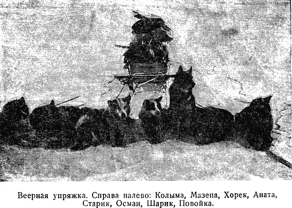 Упряжки у всех веерные но я в качестве уголовного преследования пользуюсь - фото 45