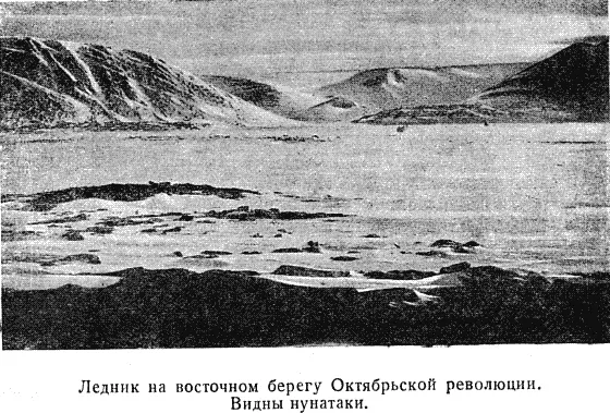 Теперь мяса у нас с избытком Кормим собак щедрой рукой не забывая и себя - фото 63