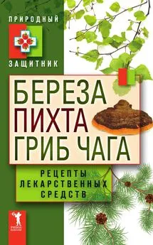 Ю. Николаева - Береза, пихта и гриб чага. Рецепты лекарственных средств