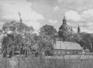 Над кронами деревьев виден замок Грипсхольм Когда король умер его трон - фото 93