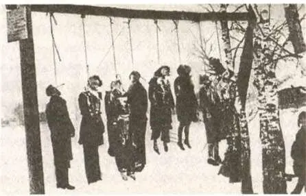 Казненные мирные жители В конце января 1943 года для проведения дальнейших - фото 28