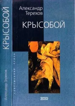 Александр Терехов - Крысобой. Мемуары срочной службы