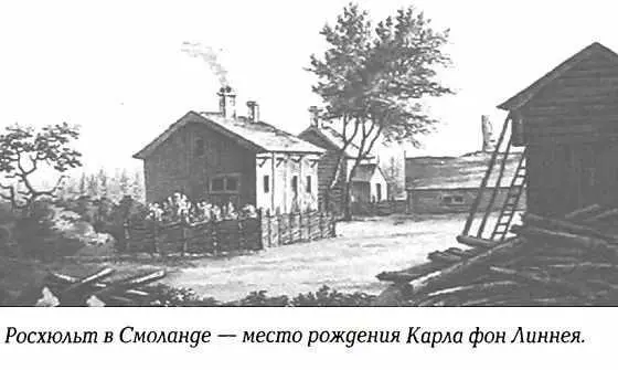 за Австрийское наследство 174048 Швеция объявила войну России 1741 - фото 81