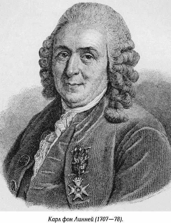 за Австрийское наследство 174048 Швеция объявила войну России 1741 - фото 80