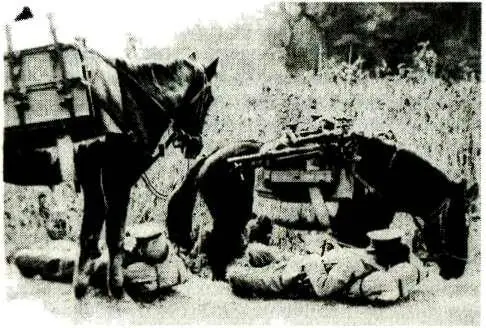 Отдых японской горной батареи 1945 г Вечером 8 августа войскам наконец - фото 154
