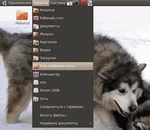 Рис 125 Меню Переход с новой закладкой Удалять пункты из этих меню можно - фото 109