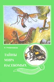 Виктор Гребенников - Тайны мира насекомых