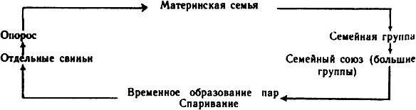 Эта схема в естественных условиях по моим наблюдениям выглядит следующим - фото 3