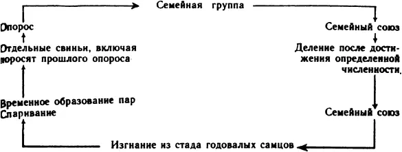Эта упрощенная схема социальной структуры составленная на основании моих - фото 4