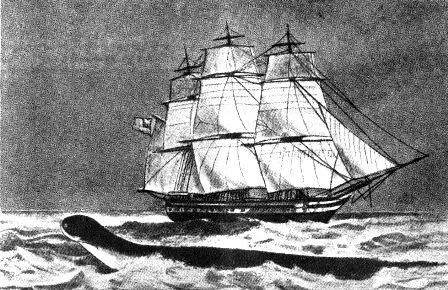Встреча с морским змеем На рисунке вид чудовища с борта парусного судна - фото 59