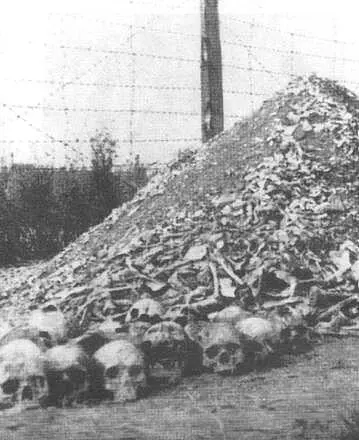Освенцим фото Леонардо да Винчи Чертеж военной и осадной машины - фото 36