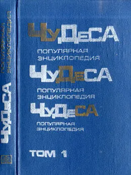 Владимир Мезенцев - Чудеса: Популярная энциклопедия. Том 1