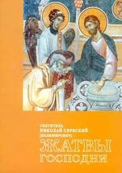 Николай Сербский (Велимирович) - Жатвы Господни