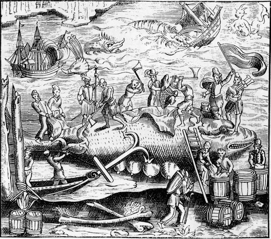 Разделка кита и срезание китового жира гравюра 1574 года В 1619 году - фото 10