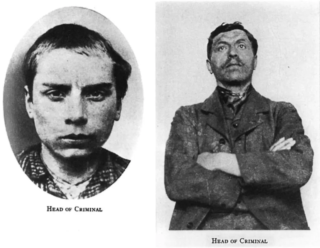 Фотографии из книги Преступник 1876 Чезаре Ломброзо профессора судебной - фото 17