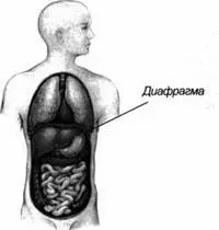 Рис 8 Освобождение напряжения в диафрагме Создание давления Ци в Даньтяне - фото 9