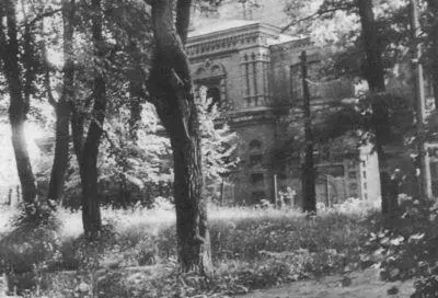 Место захоронения В В Розанова в Черниговском скиту Сергиев Посад Фото 1989 - фото 55