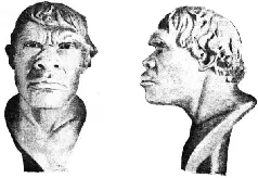Рис 13 Первобытный человек каменного века Homo primigenius Остатки этого - фото 121