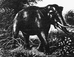 Рис 30 Мастодонт Mastodon Многие места стихи мифы особенности обрядов - фото 138