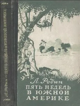 Леонид Родин - Пять недель в Южной Америке