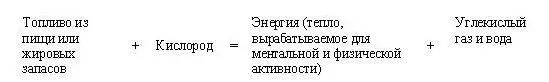 Гипоталамус область мозга находящаяся прямо над гипофизарной железой и - фото 4