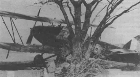 Хартбист южноафриканских ВВС укрыт в тени дерева на передовой площадке на - фото 45
