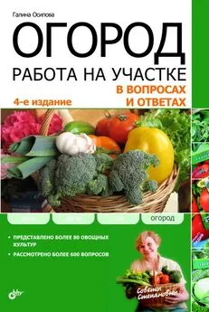 Г. Осипова - Огород. Работа на участке в вопросах и ответах