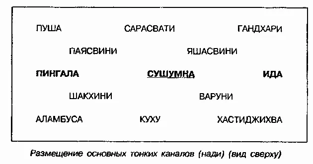 Главная задача тантрического йогина состоит в стабилизации потока биоэнергии в - фото 134
