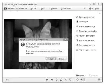Что умеет программа Paint Программа Paint стандартный графический - фото 553