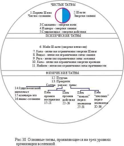 На следующем этапе происходит разрыв бинду его расщепление на два мужской - фото 35
