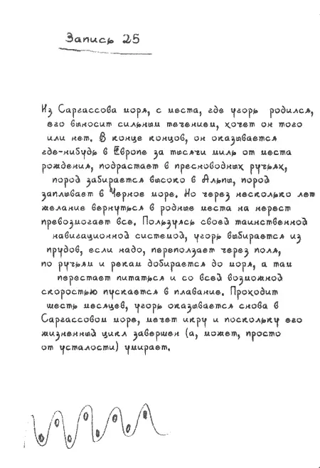 20 Запись 25 Из Саргассова моря с места где угорь родился его выносит - фото 18