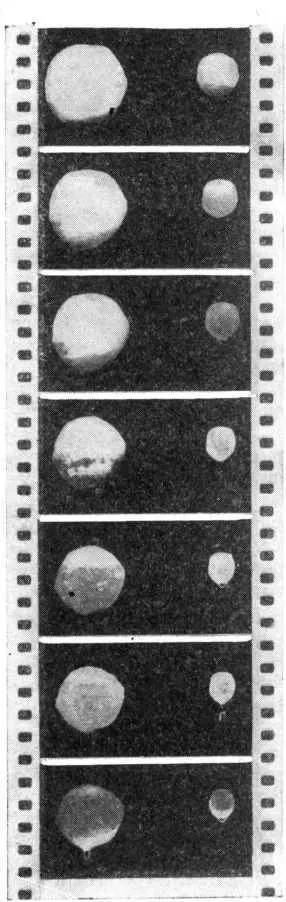Последовательность кадров фильма о таянии снежных сфер Этот случайно - фото 22